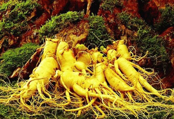 Natural drugs for power