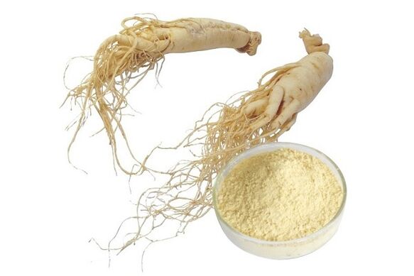 Ginseng root improves libido and improves erection